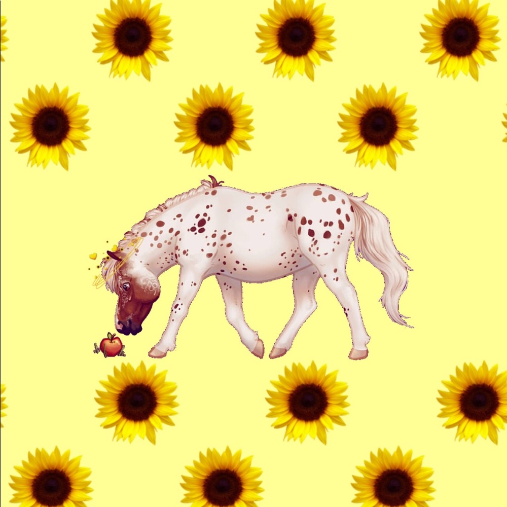 Meet your Posher, Haley